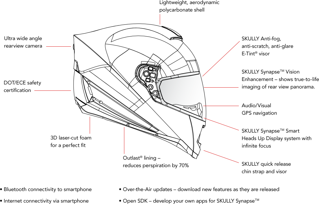 Uno schema che rappresenta le caratteristiche tecniche di Skully