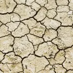 Caldo record in Kuwait: superati i 50 gradi!