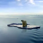 Allarme NASA: nell'Artico non c'è mai stato così poco ghiaccio