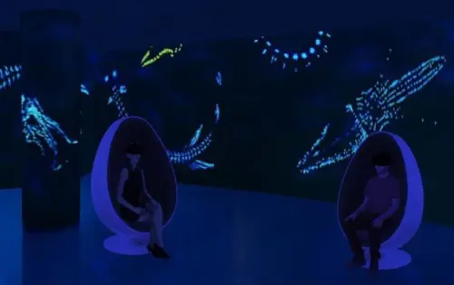 Realtà virtuale, l'Acquario di Genova apre alla tecnologia