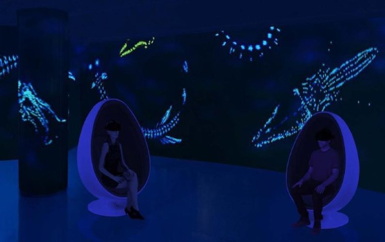 Realtà virtuale, l'Acquario di Genova apre alla tecnologia
