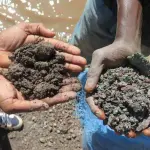 Lavoro minorile, la denuncia di Amnesty al colosso Apple