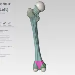 Novità Apple Airstrip e 3D4Medical le App per la salute