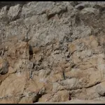 CyPhy LVL 1 drone a volo totalmente orizzontale