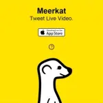 Meerkat vuole battere Periscope su Android