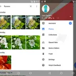 Google Foto abbandona G+ e diventa autonoma