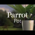 Da Flower Power a Pot e H2O: le novità di Parrot al CES2015