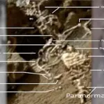 Marte: la Nasa ha fotografato uno scheletro alieno?
