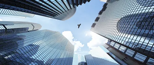 In arrivo l'uccello bionico