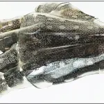 Allo studio un tessuto sintetico che emula la pelle umana