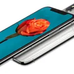 iPhone X: Apple potrebbe dimezzare la produzione