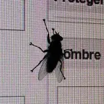 Un virus ci osserva dal 2008, si chiama Regin