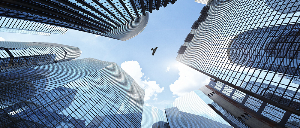 In arrivo l'uccello bionico