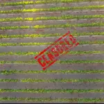 Droni usati per girare film Porno. Era inevitabile