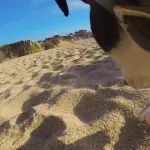 GoPro Fetch: una telecamera per Fido