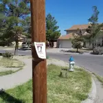 Ricerca persone scomparse: a chi rivolgersi?