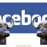 Facebook: le prime notizie etichettate come bufale