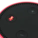 Skill per Alexa: che cosa sono, come usarle e perchè sono importanti