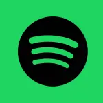 L’importanza dei play Spotify italiani per avere successo