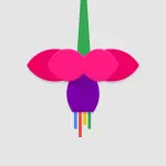 Google: Fuchsia il nuovo sistema operativo, cosa cambia