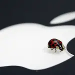 Apple offre fino a 200 mila dollari agli scopritori di bug