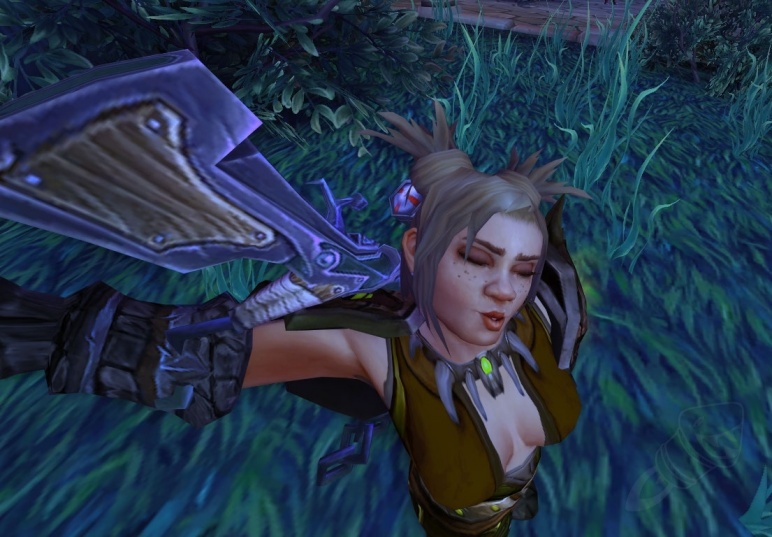 Ecco i Selfie per i personaggi di World of Warcraft