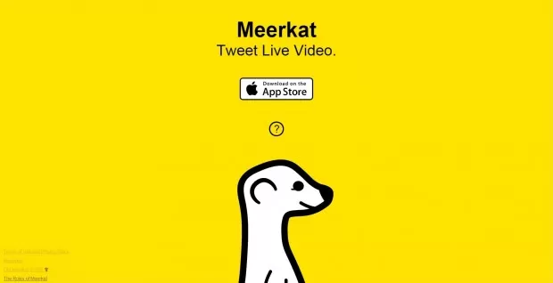 Twitter: compleanno con lo spauracchio Meerkat