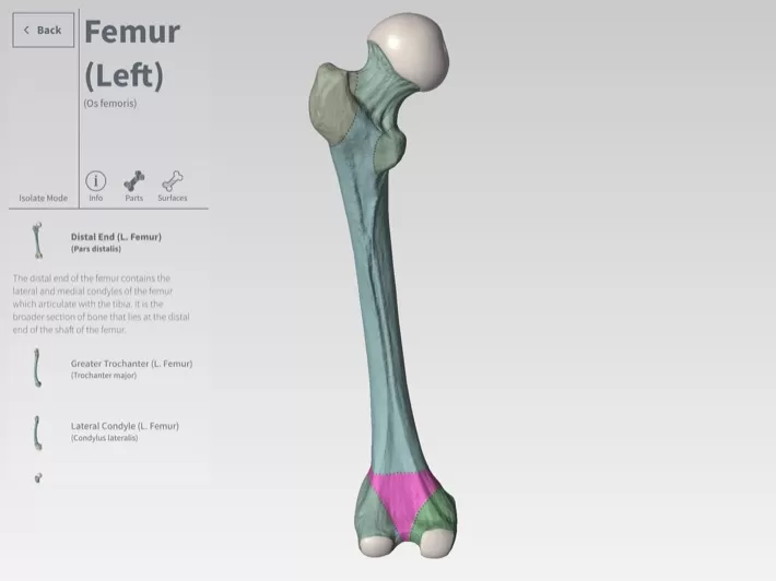 Novità Apple Airstrip e 3D4Medical le App per la salute