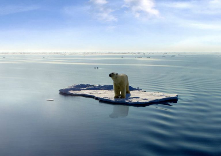 Allarme NASA: nell’Artico non c’è mai stato così poco ghiaccio