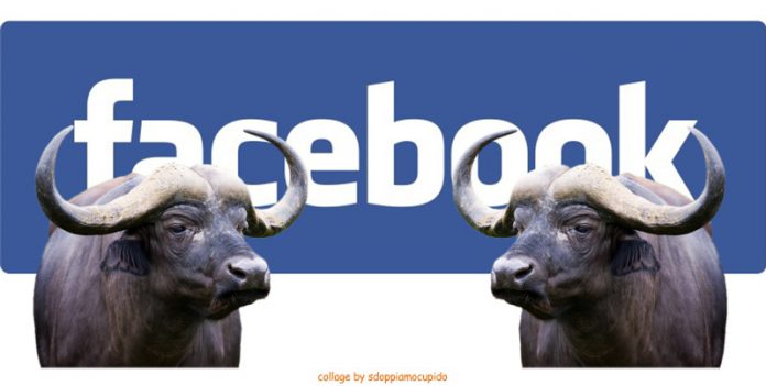facebook bufale etichette