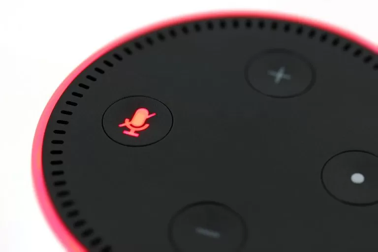 Skill per Alexa: che cosa sono, come usarle e perchè sono importanti